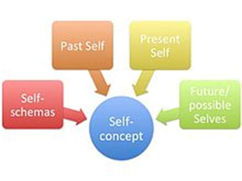 What Is a Perspective Essay? Synonym